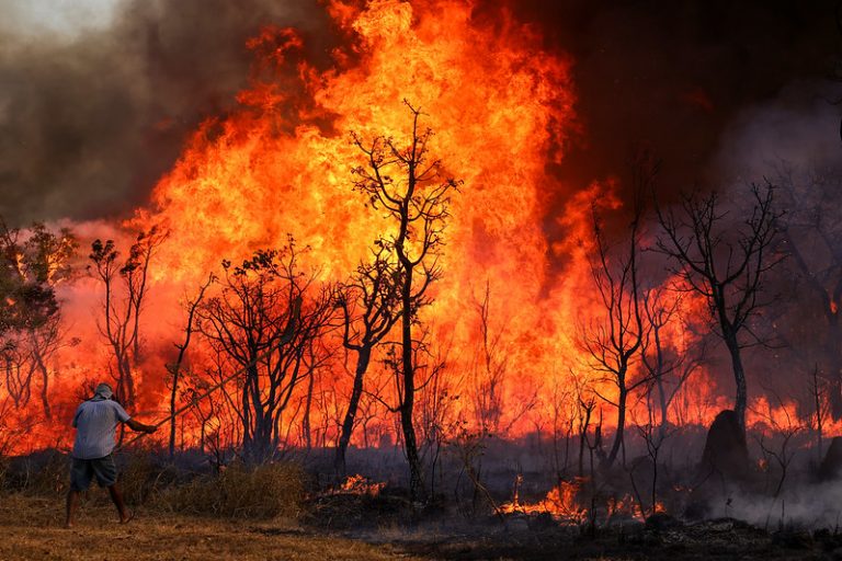 Área queimada no Brasil cresce 79% em 2024, segundo MapBiomas