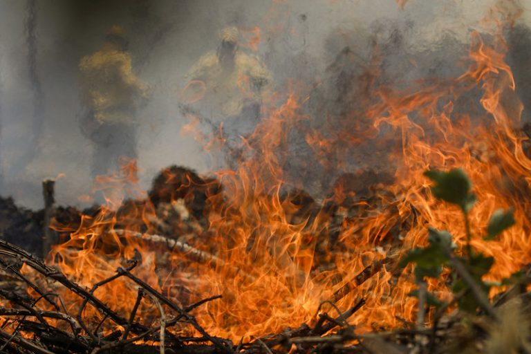 Governo assina portaria que define emergência em áreas de queimadas