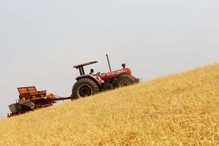 dados do agro distorcidos são do Ibama e não da Agricultura